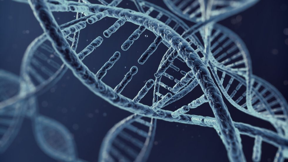 dna